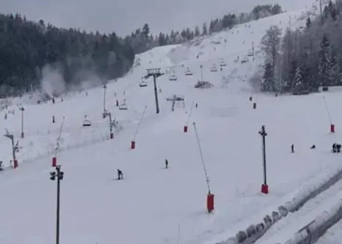 Cosy + Terrasse Cornimont